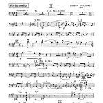 Concertino da Camera Cello Part Cover