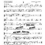 Concertino da Camera Clarinet Part Cover