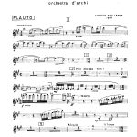 Concertino da Camera Flute Part Cover