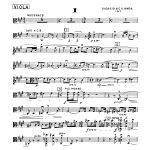 Concertino da Camera Viola Part Cover