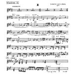 Concertino da Camera Violin II Part Cover